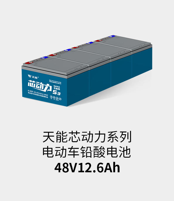 世界杯压球官网-世界杯中国官方网站电池48v12ah